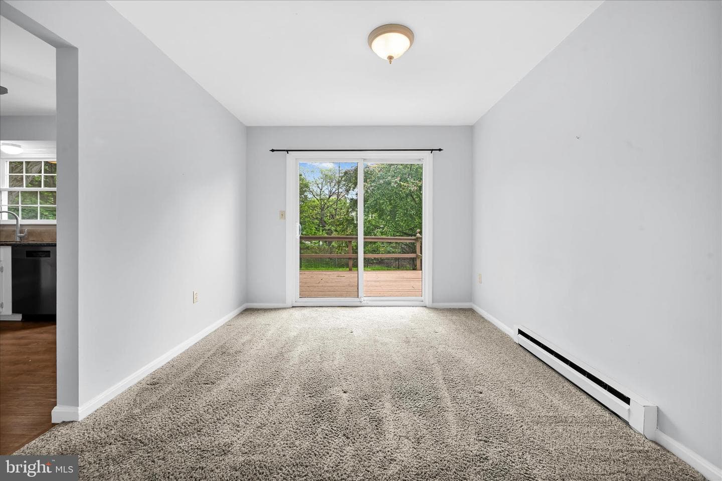 433 Springfield Court photo 8