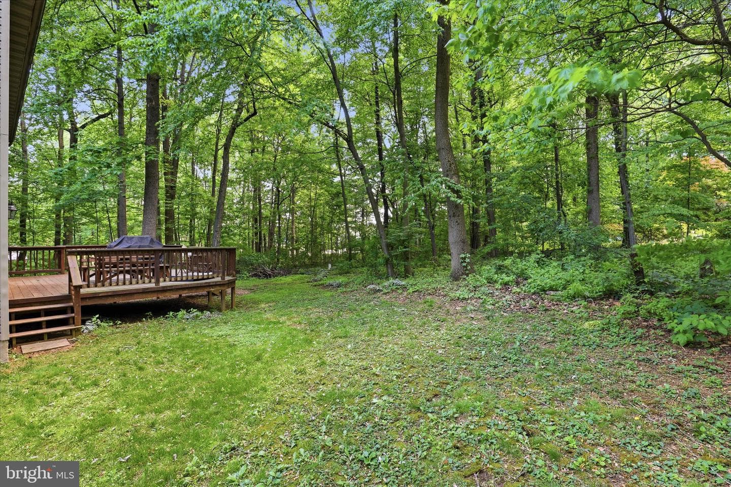 15 Deerfield Drive photo 55