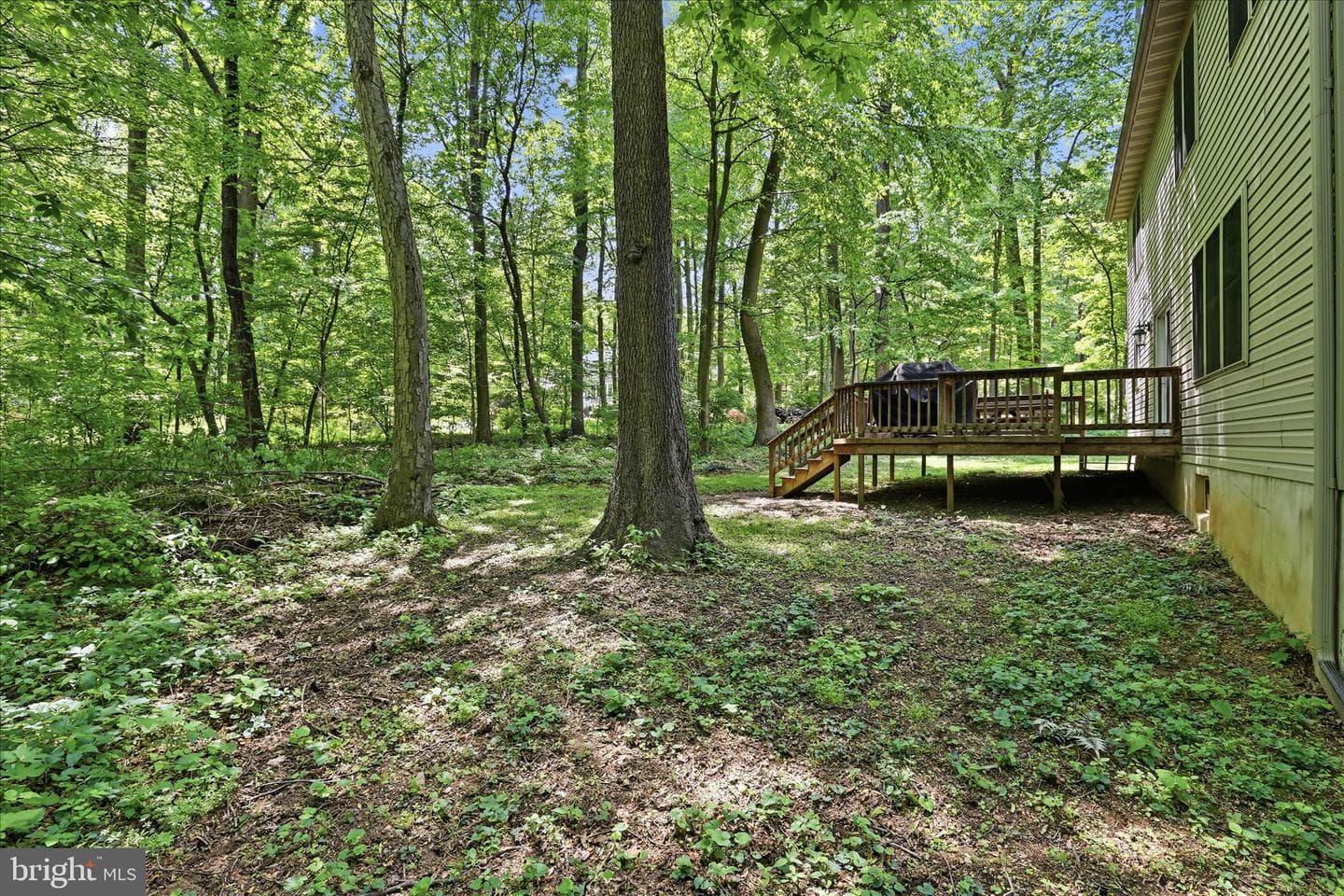 15 Deerfield Drive photo 56