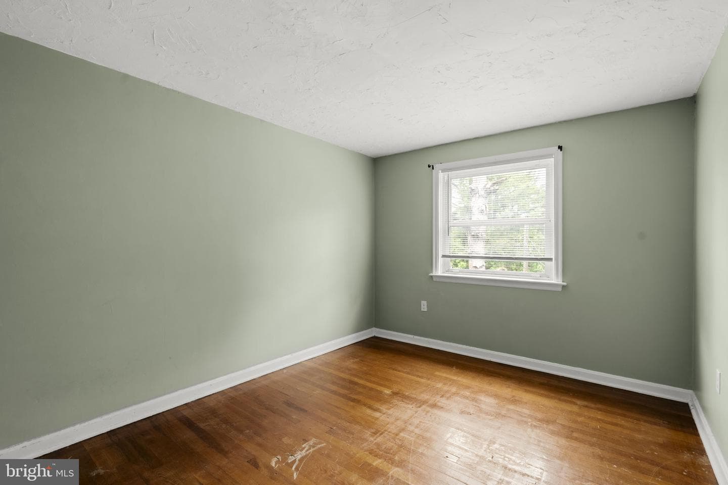 61 Hershey Avenue photo 12