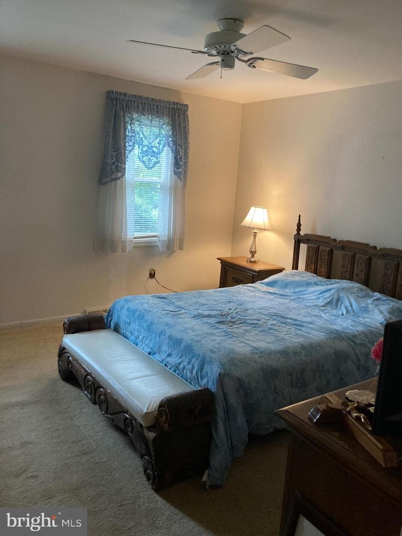 326 Barberry Drive photo 13