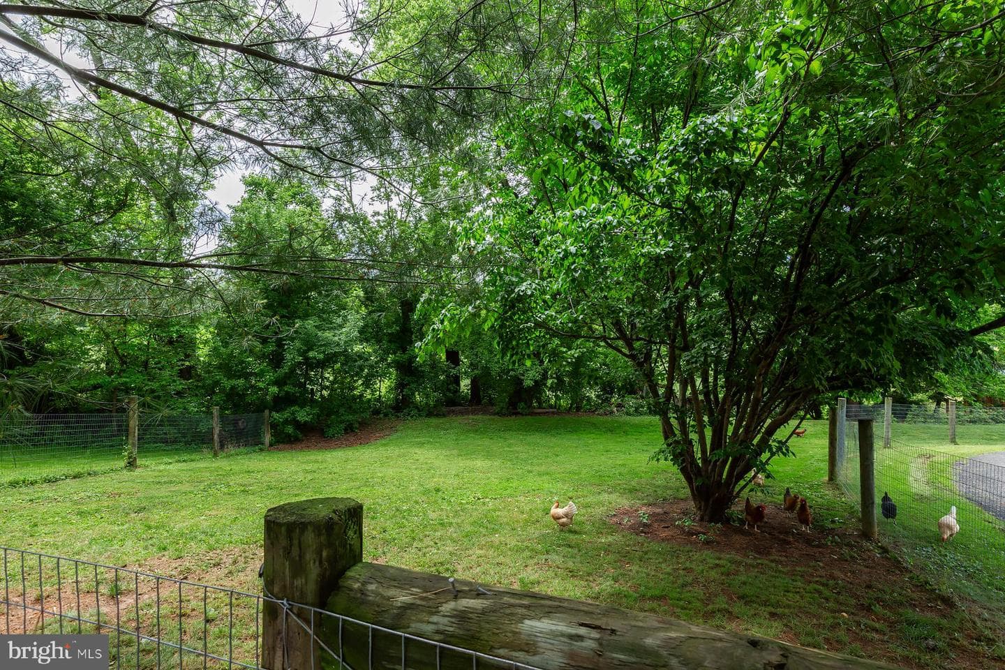 3 Apache Lane photo 59