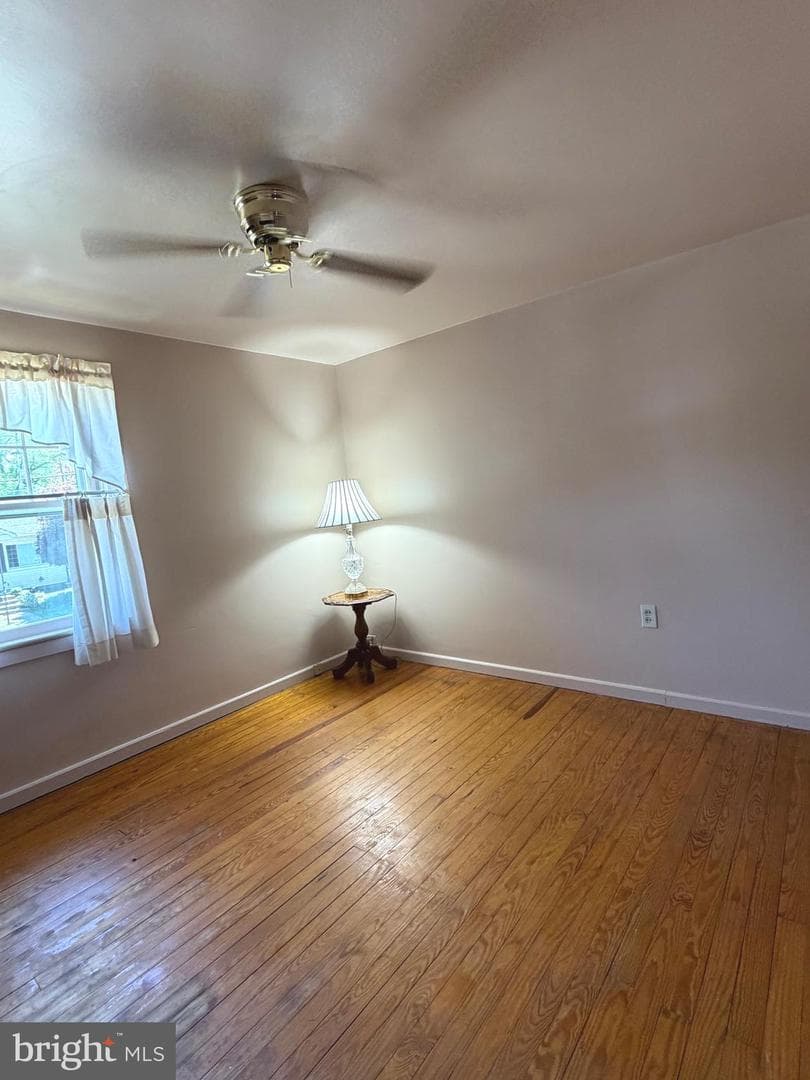 31 E Orange Street photo 15