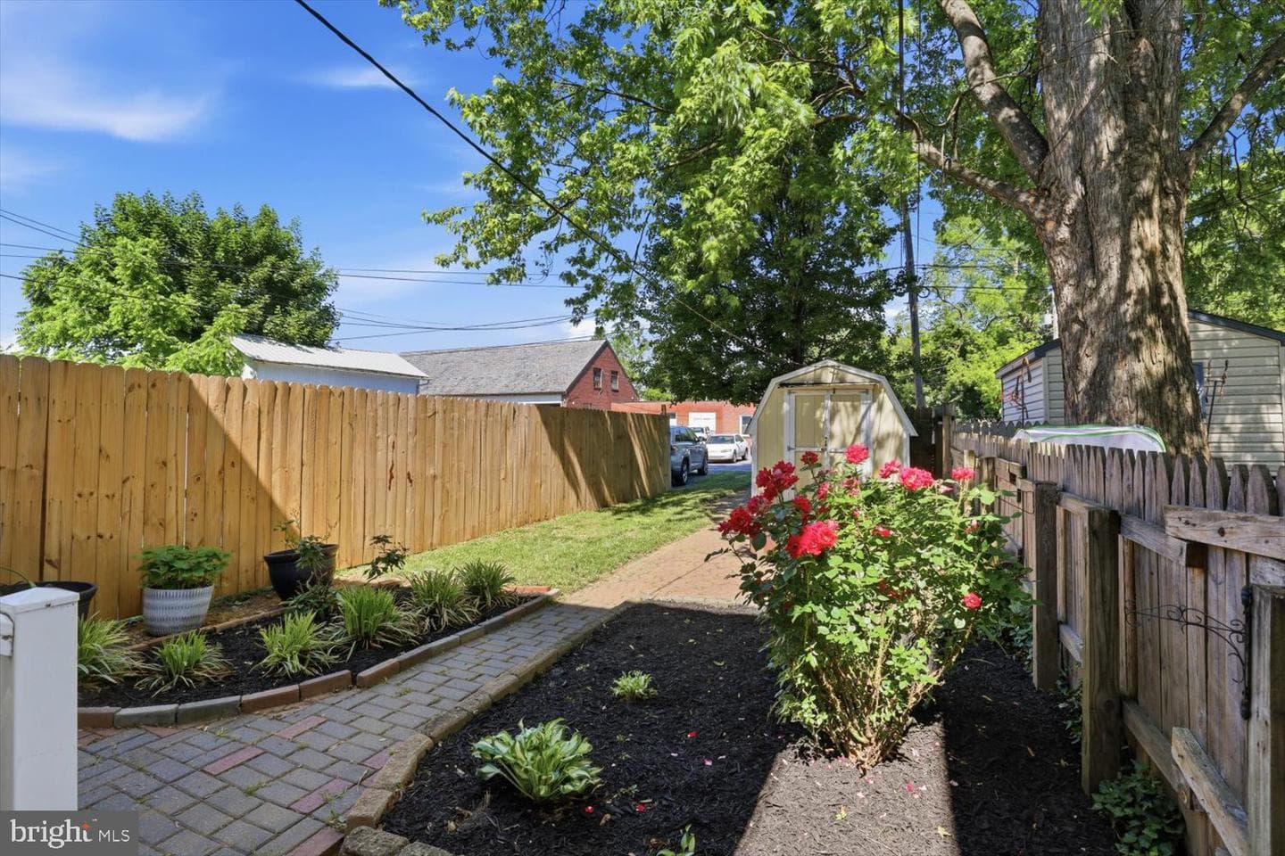 280 Duke Street photo 29