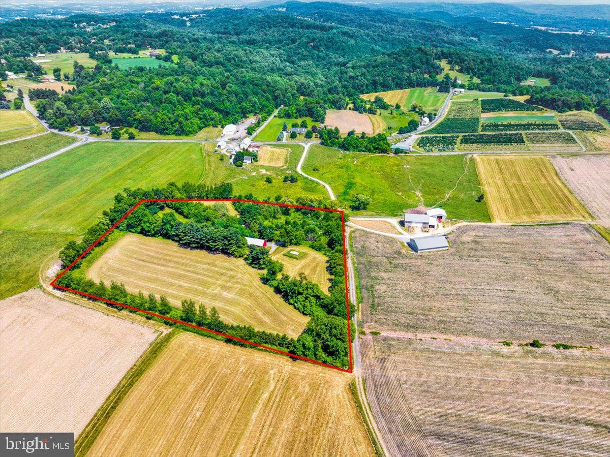 1095 Texter Mountain Road photo 4