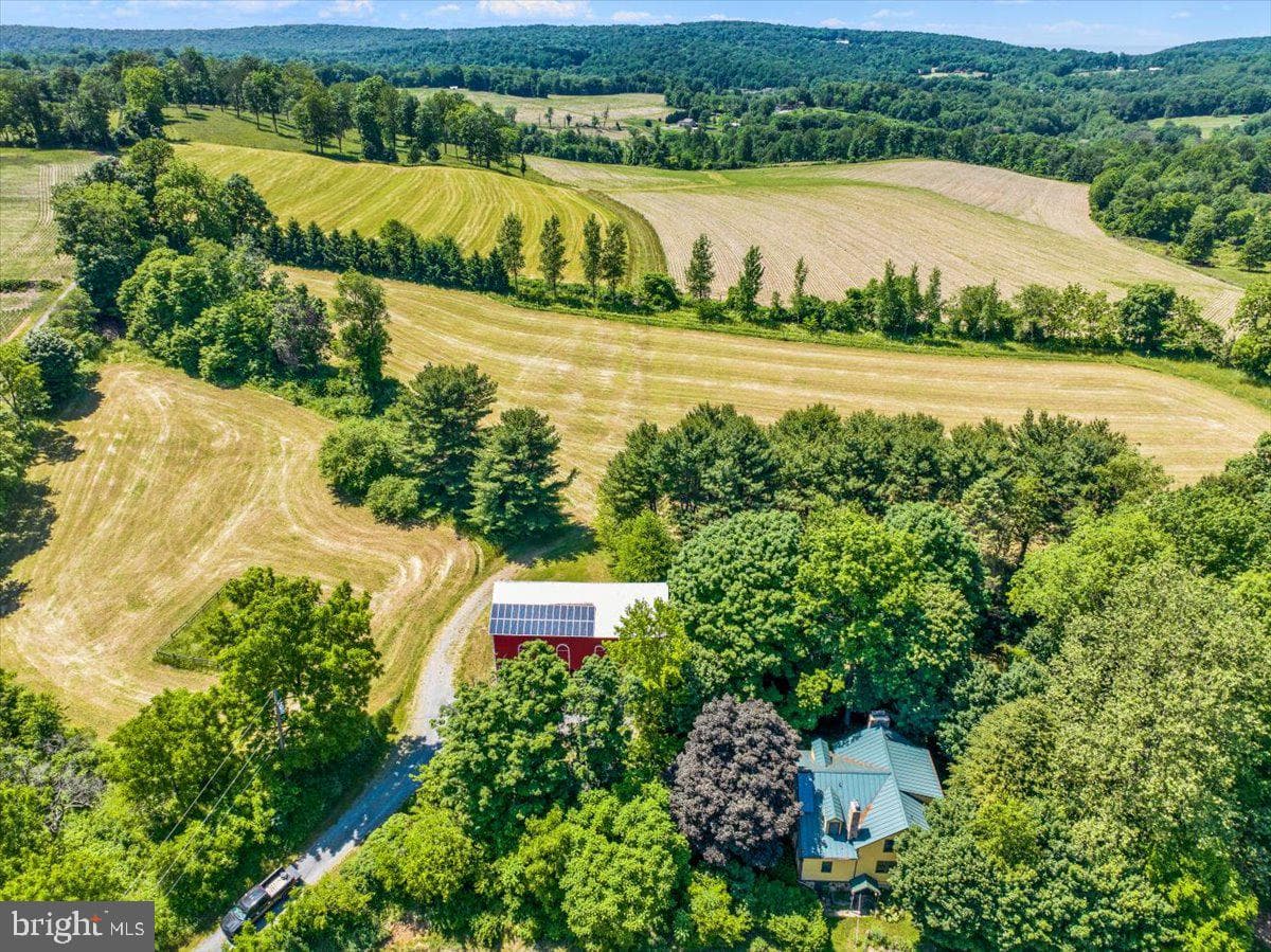 1095 Texter Mountain Road photo 65