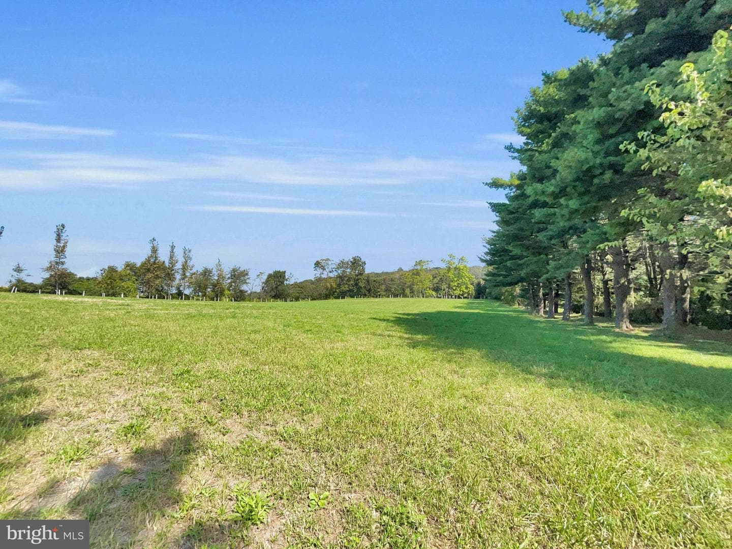 1095 Texter Mountain Road photo 70