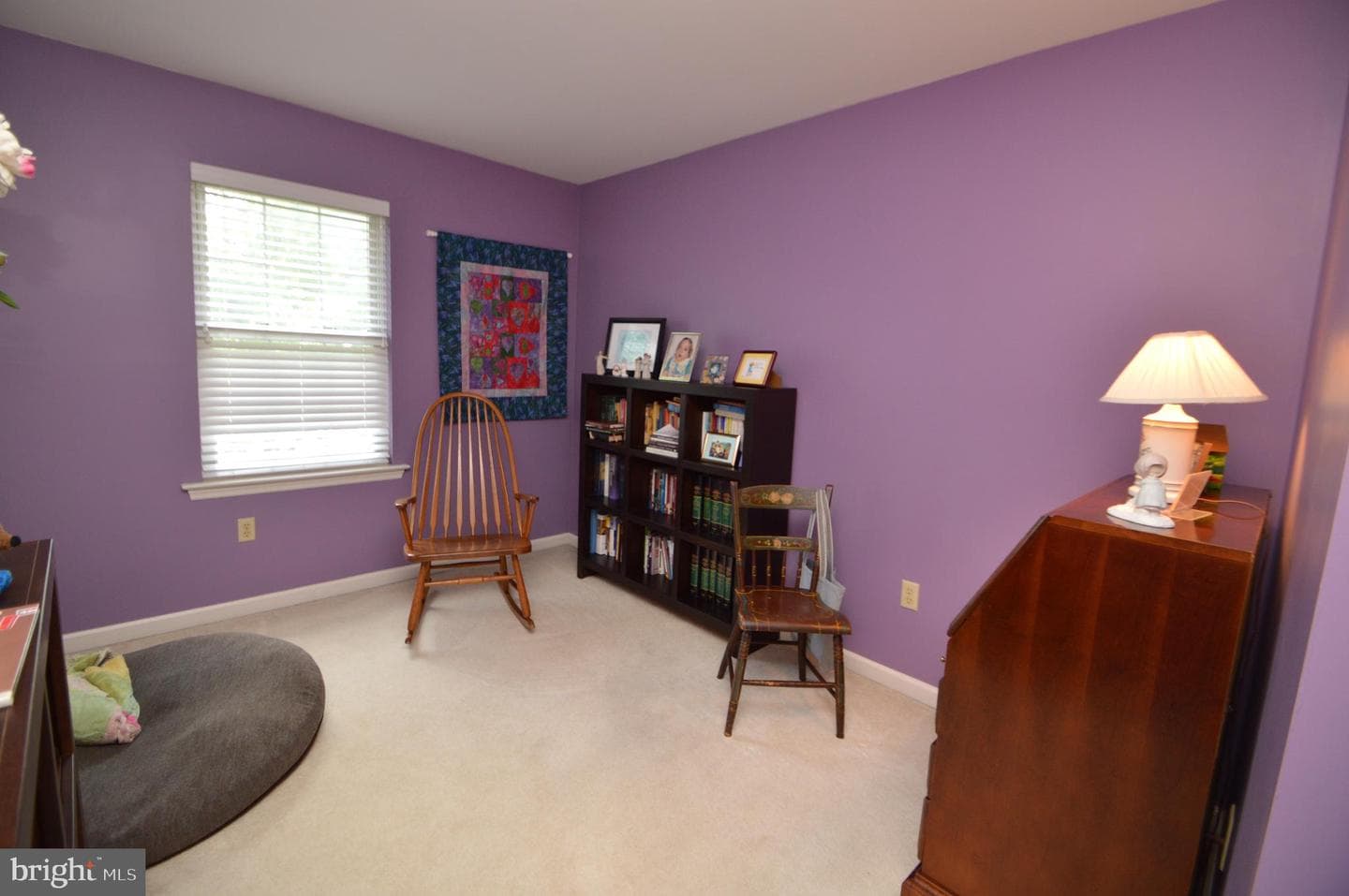 613 Mallard Drive photo 15