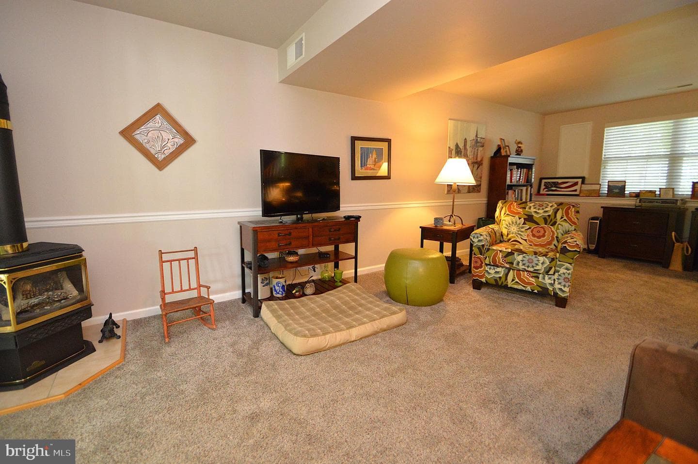 613 Mallard Drive photo 20