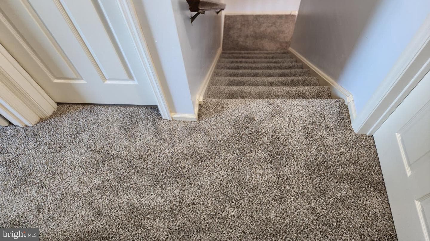 53 Oriole Drive photo 22