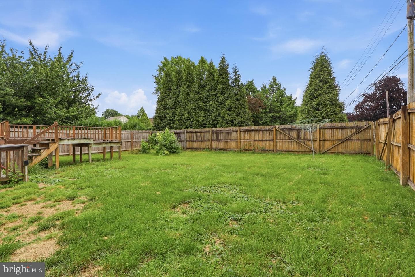 4 Conoy Road photo 24