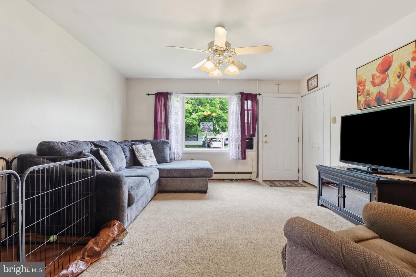 4 Conoy Road photo 4