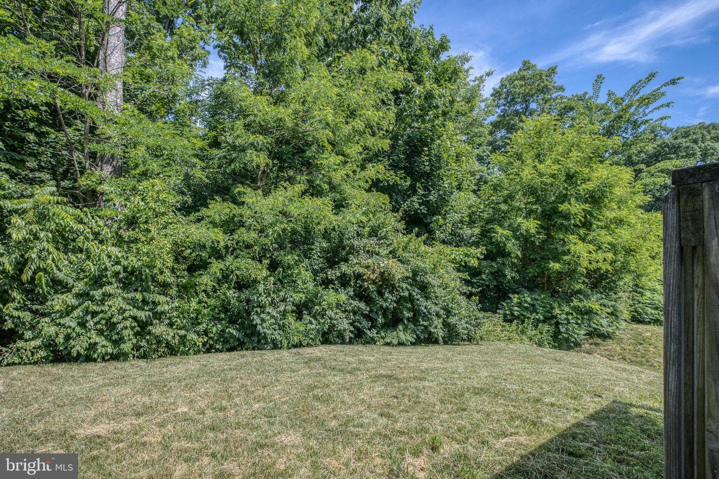 271 Wildflower Drive photo 25