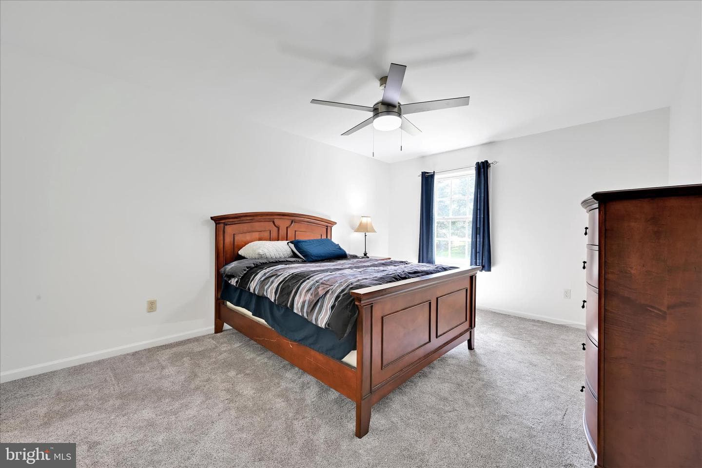 323 Hill Street photo 20