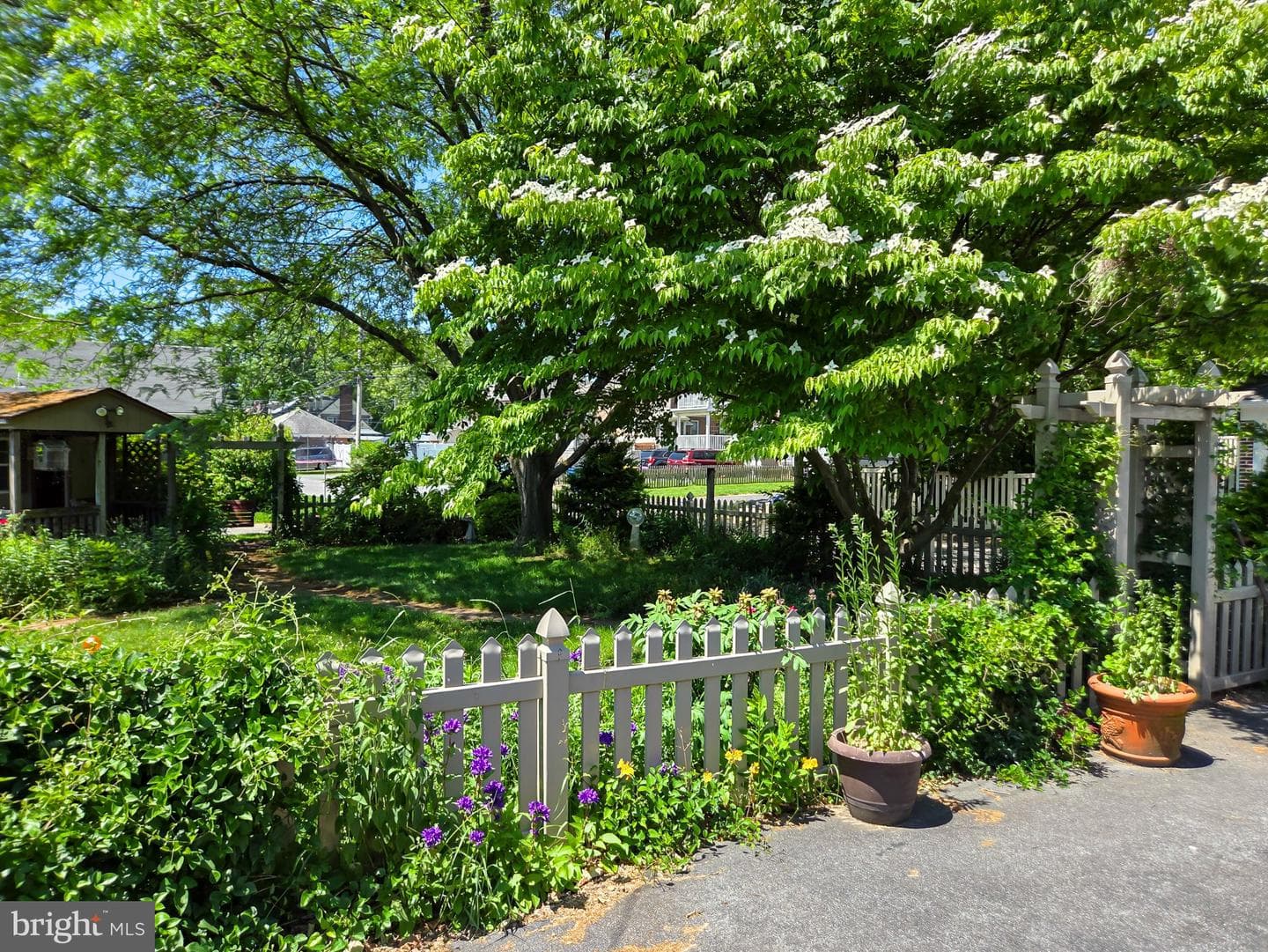 524 Locust Street photo 33