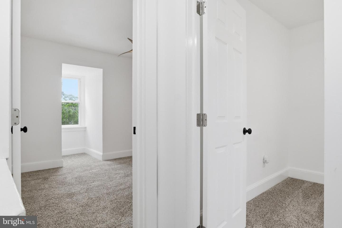 44 Ranck Avenue photo 30