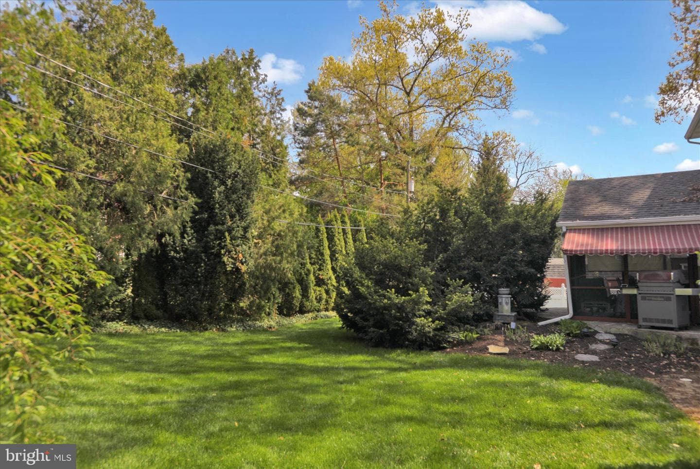 53 Jackson Drive photo 5