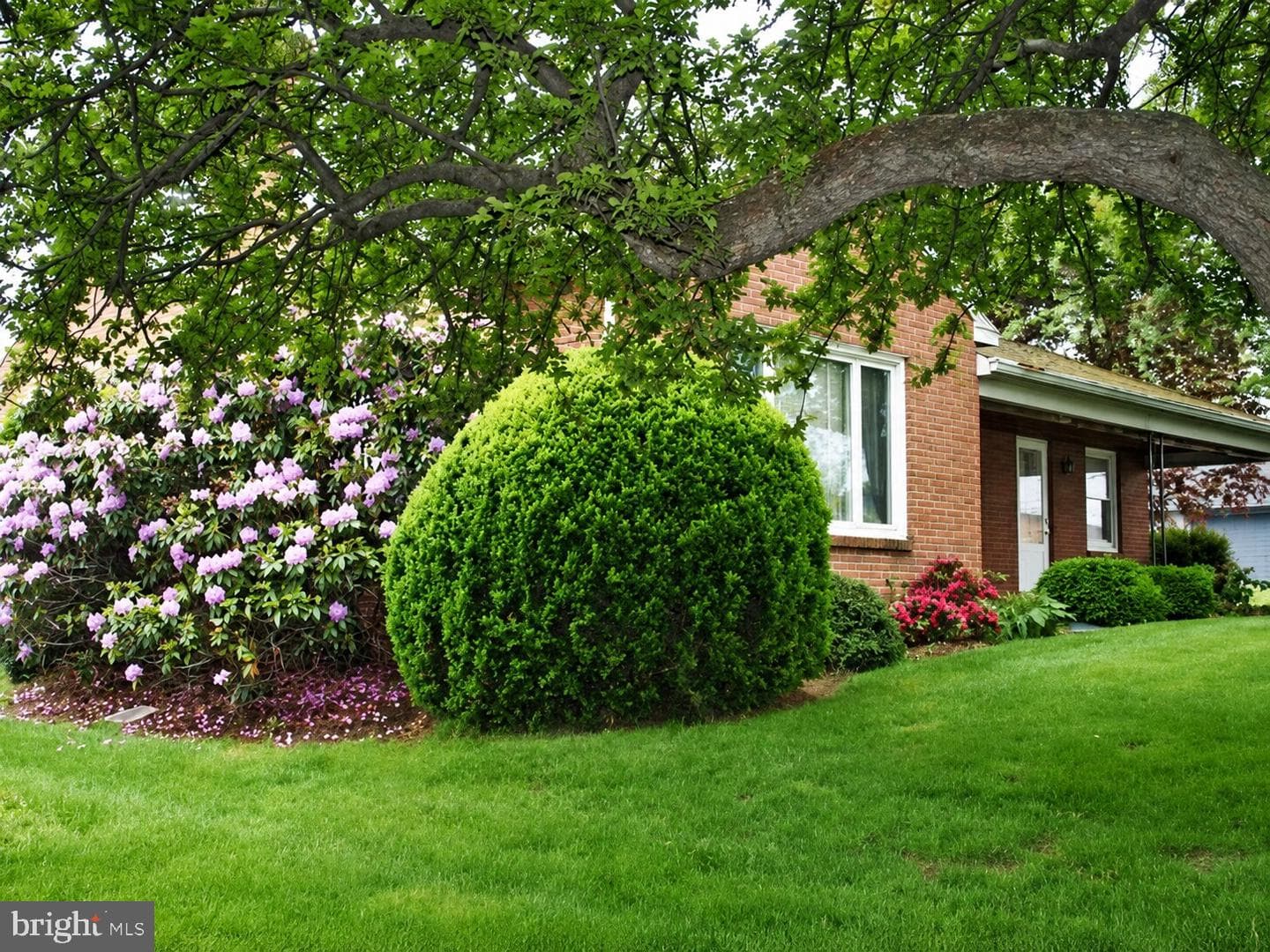 79 Glenbrook Road photo 10