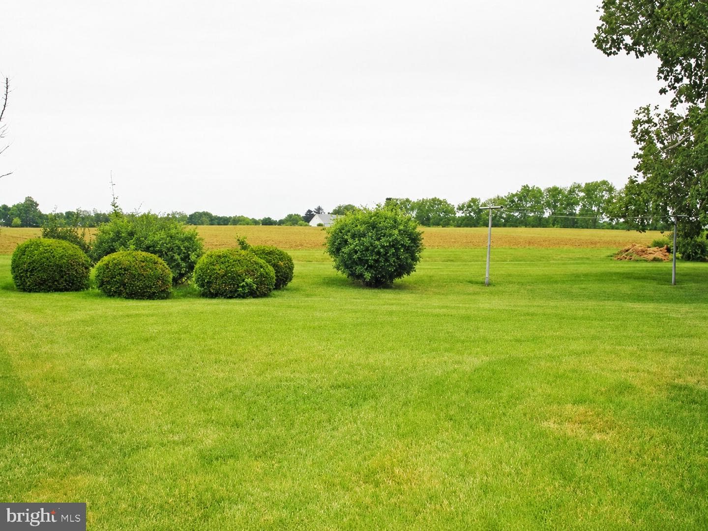 79 Glenbrook Road photo 11