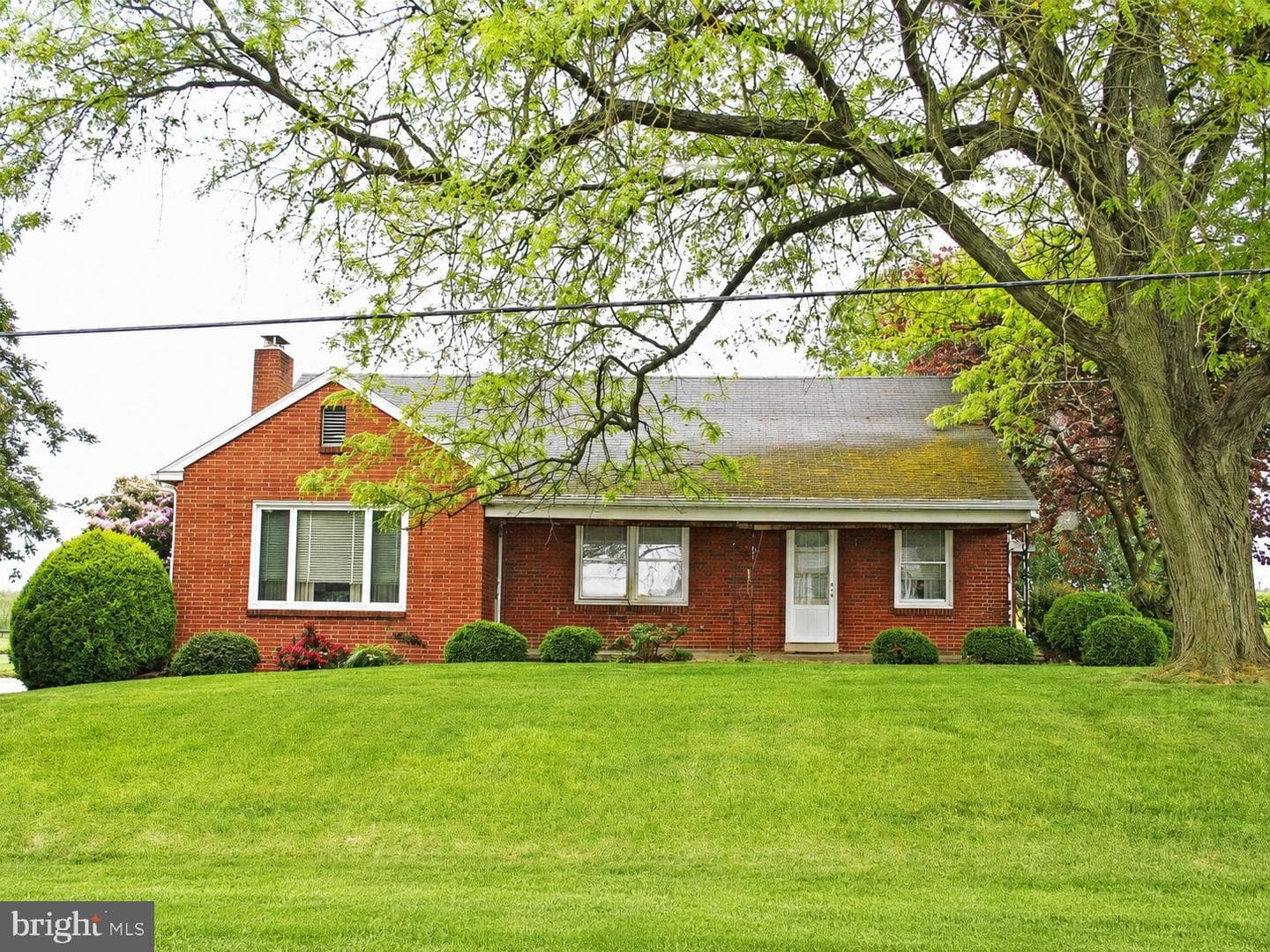 79 Glenbrook Road photo 7