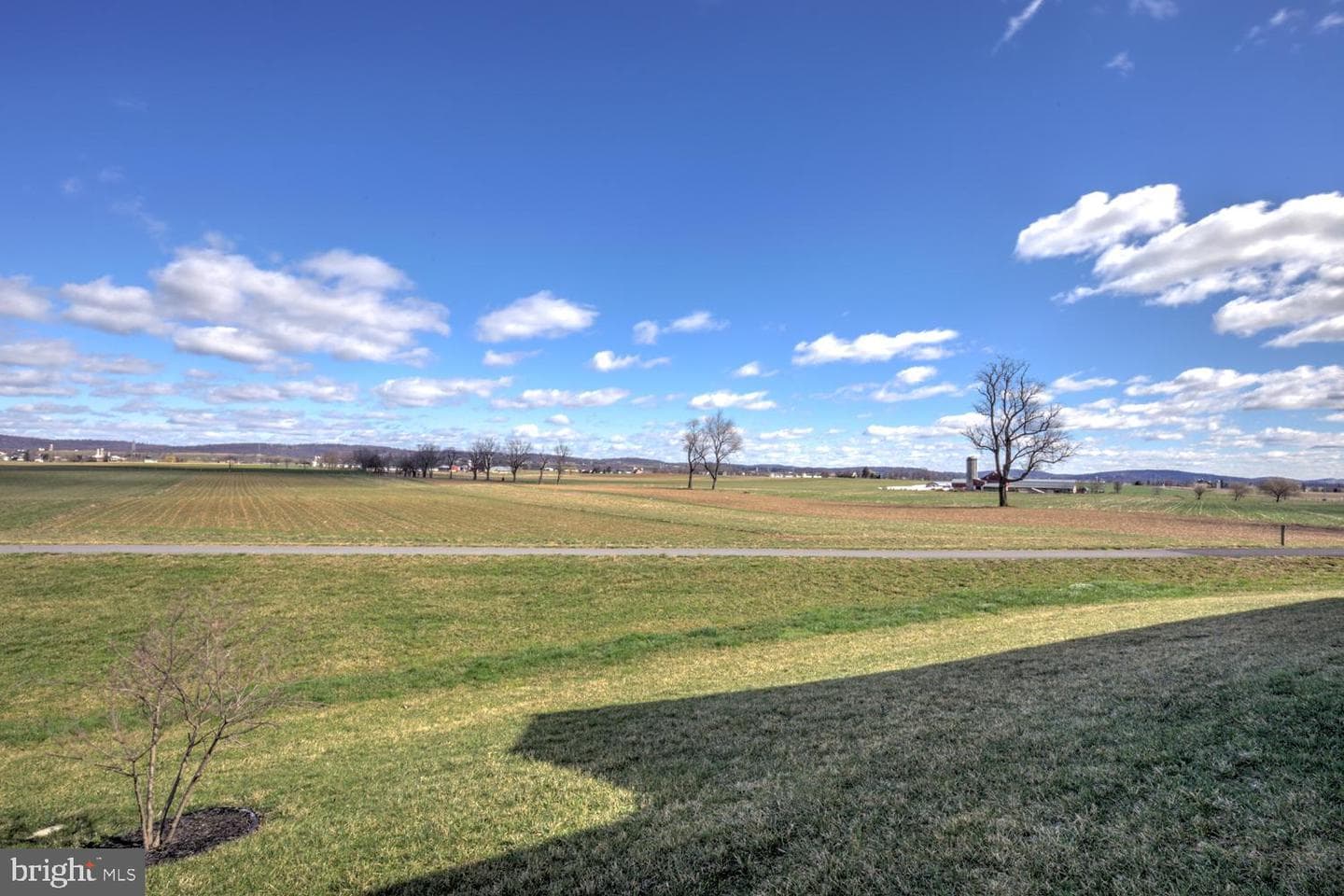 133 Wyndale Drive photo 47
