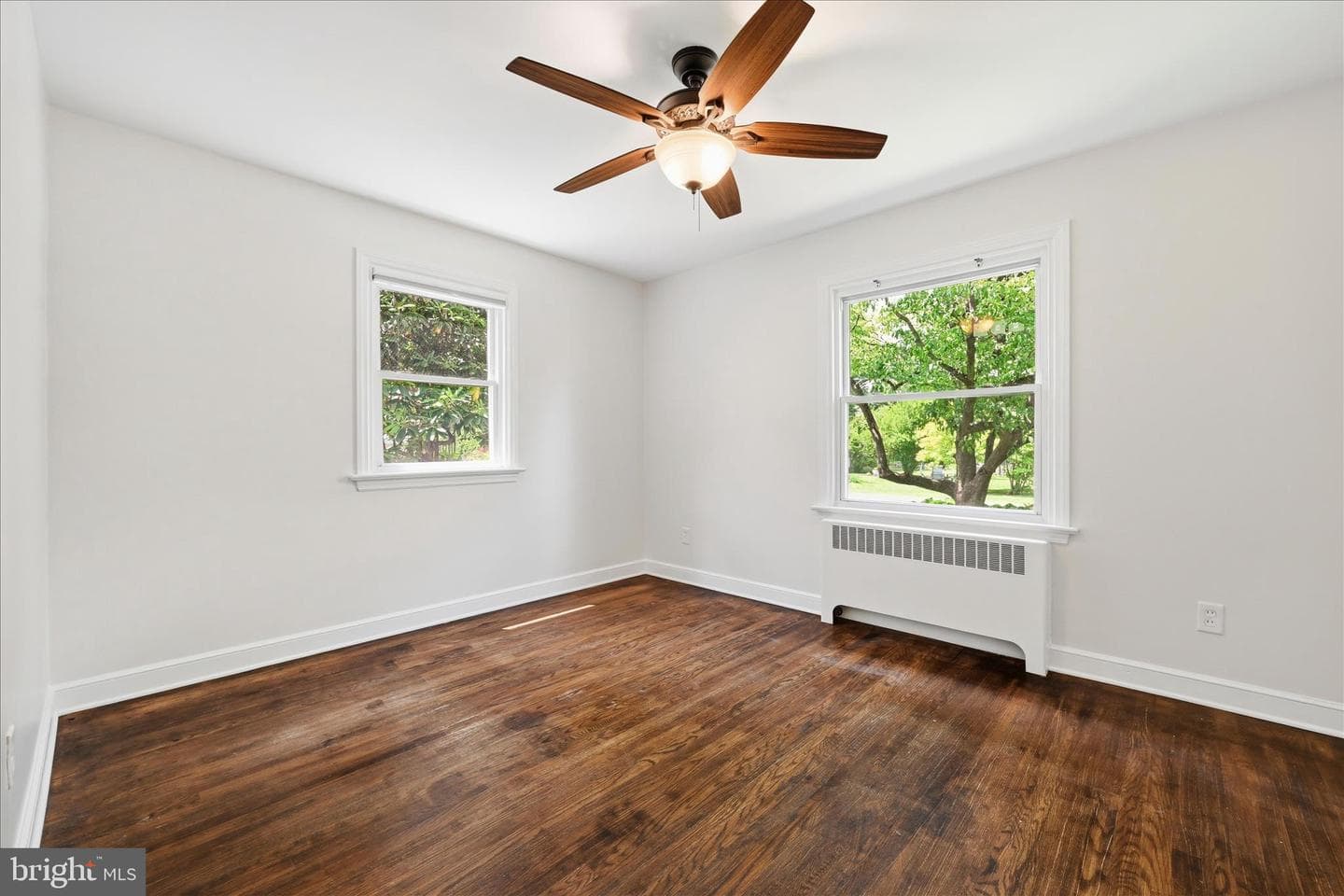 242 Elizabeth Drive photo 16