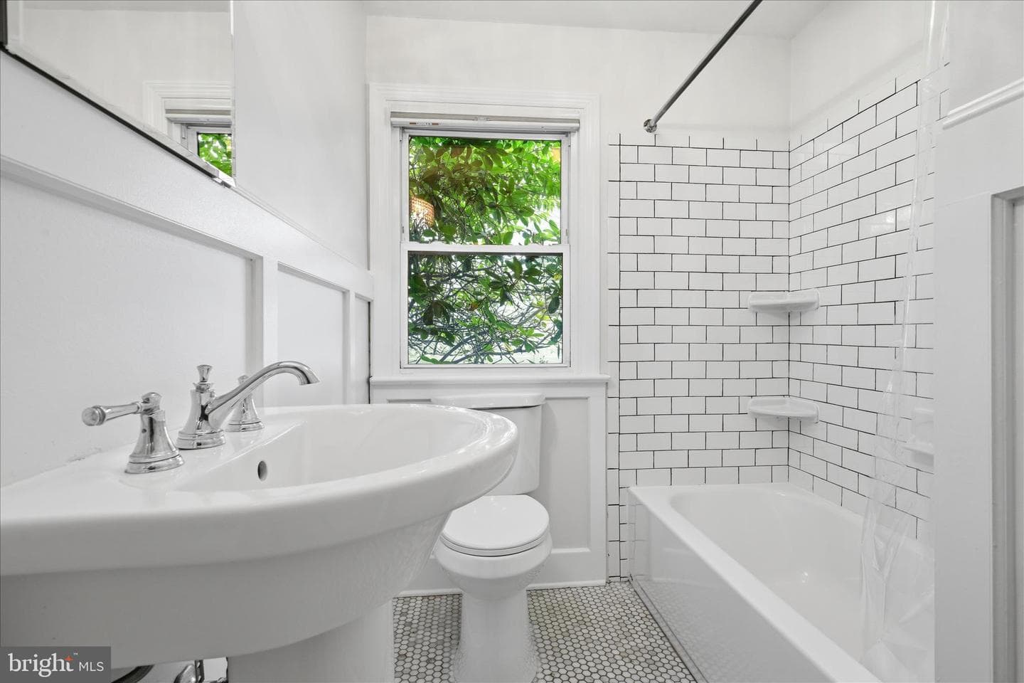 242 Elizabeth Drive photo 18