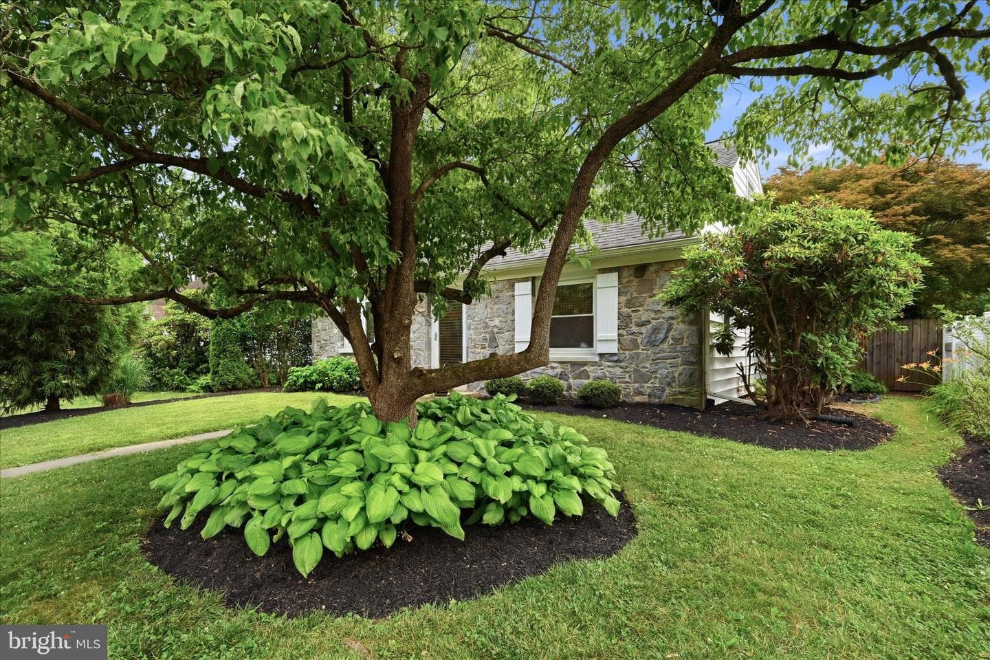 242 Elizabeth Drive photo 2