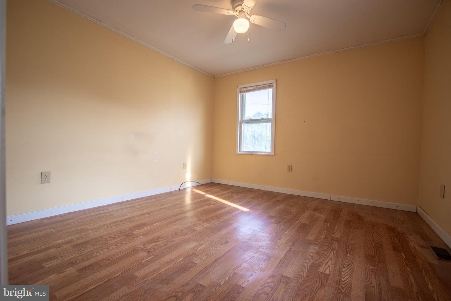 14 Crest Avenue photo 23