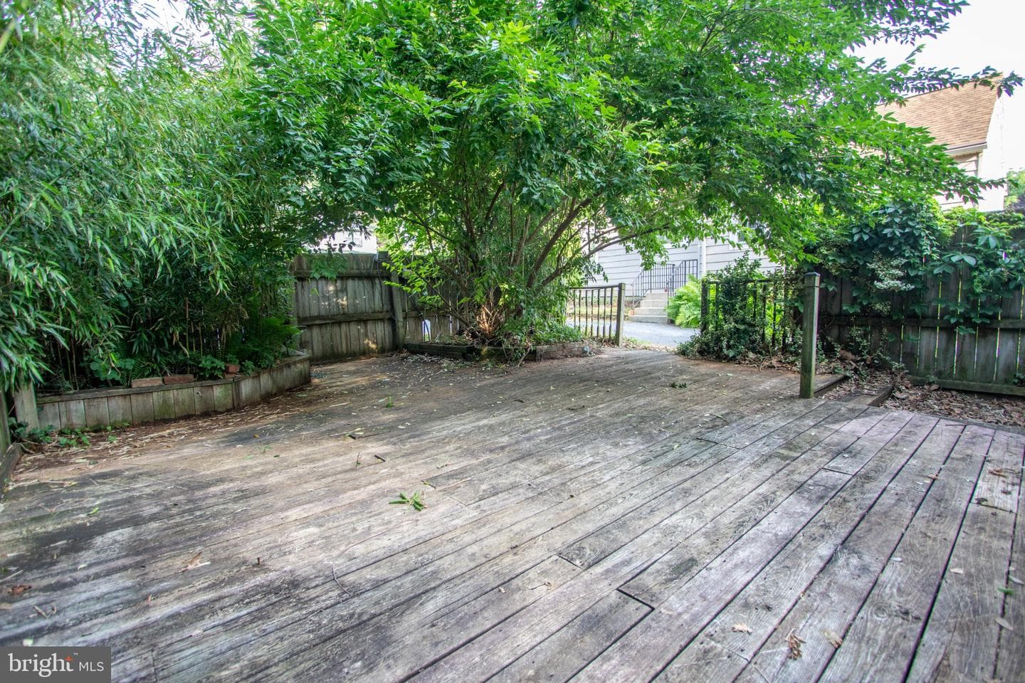 14 Crest Avenue photo 53