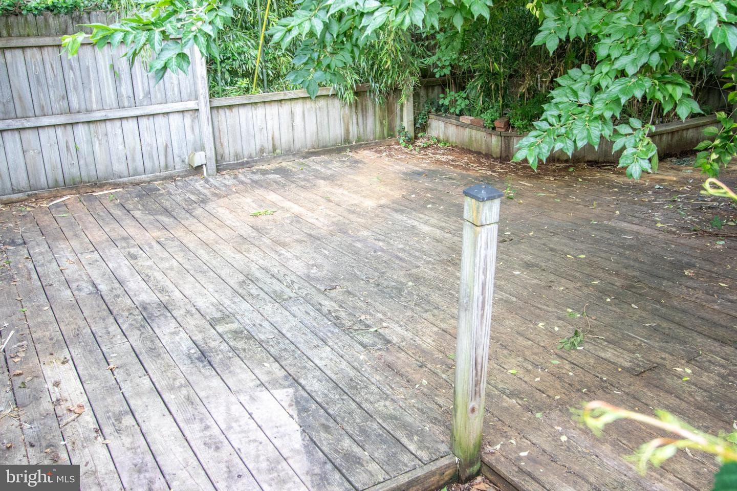 14 Crest Avenue photo 54