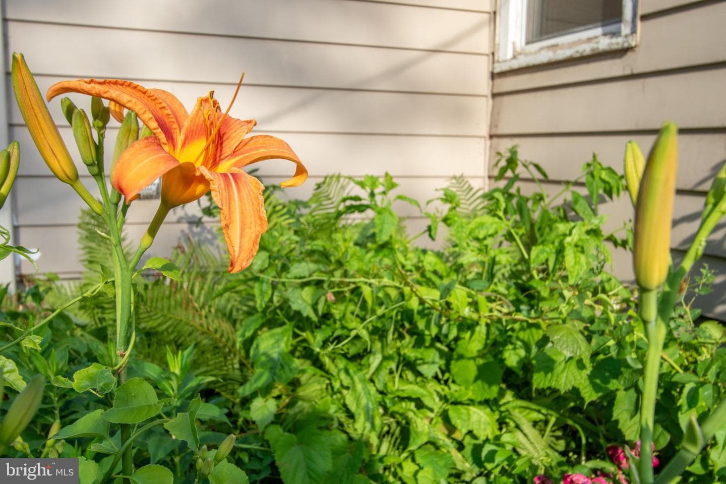 14 Crest Avenue photo 60