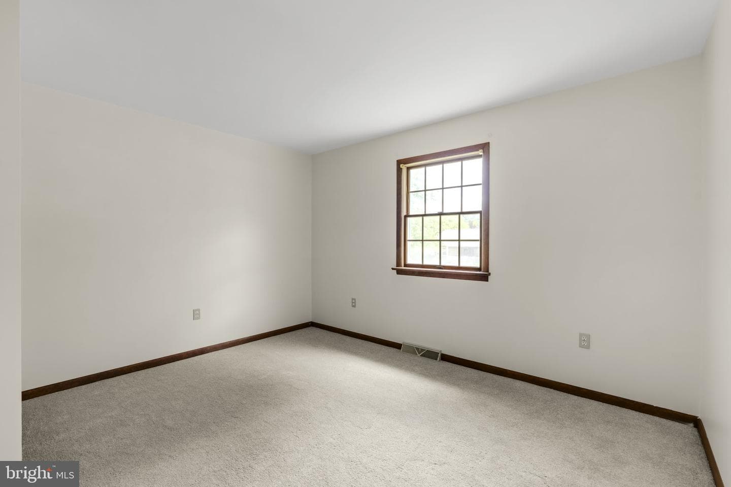 31 Dennis Drive photo 14