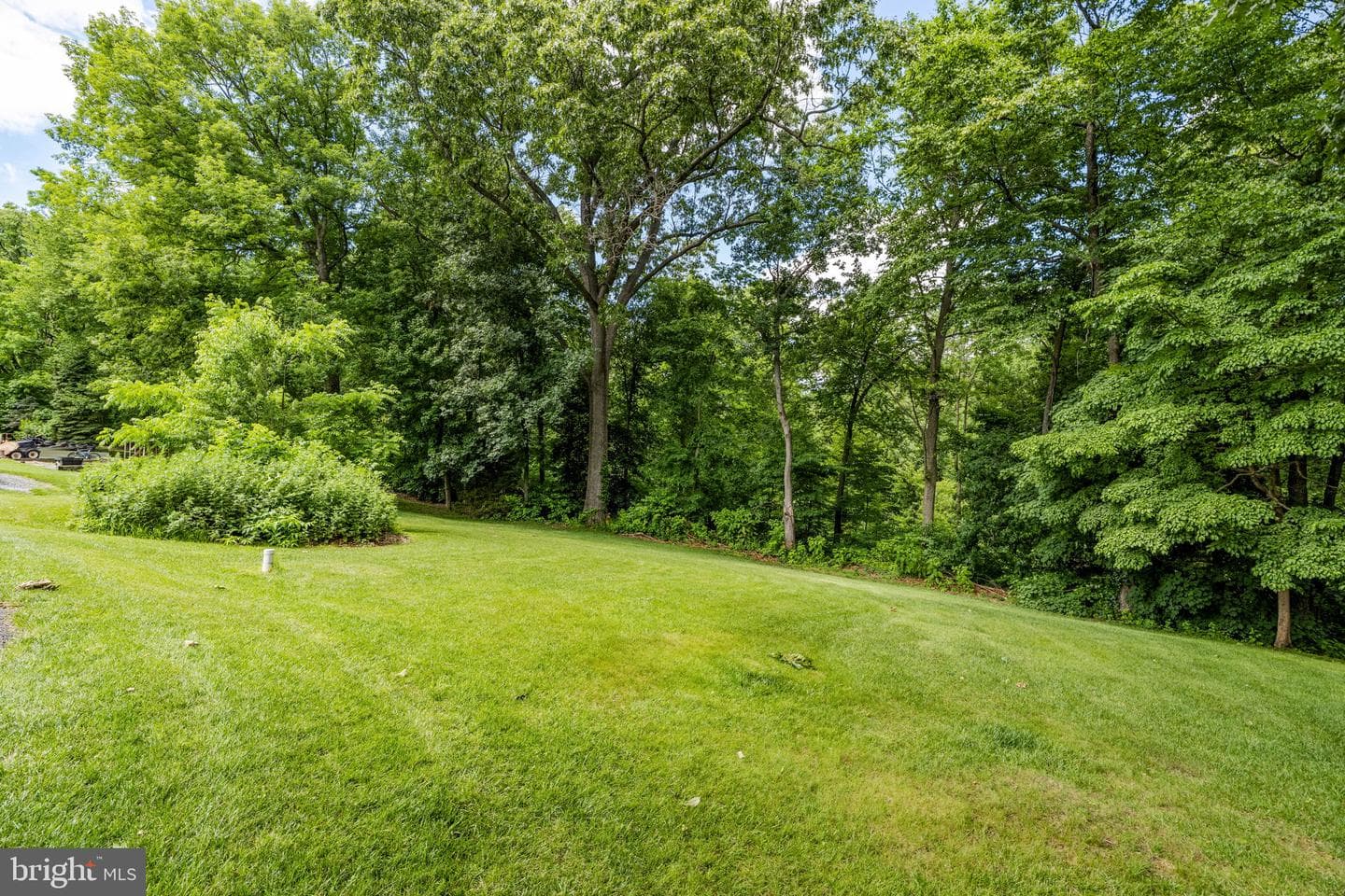 31 Dennis Drive photo 24