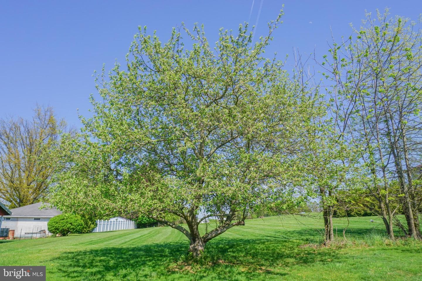 379 Hilldale Road photo 103