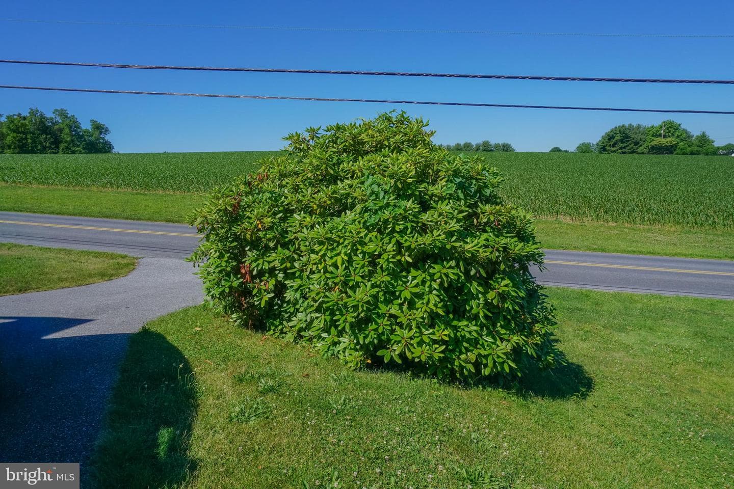 379 Hilldale Road photo 111