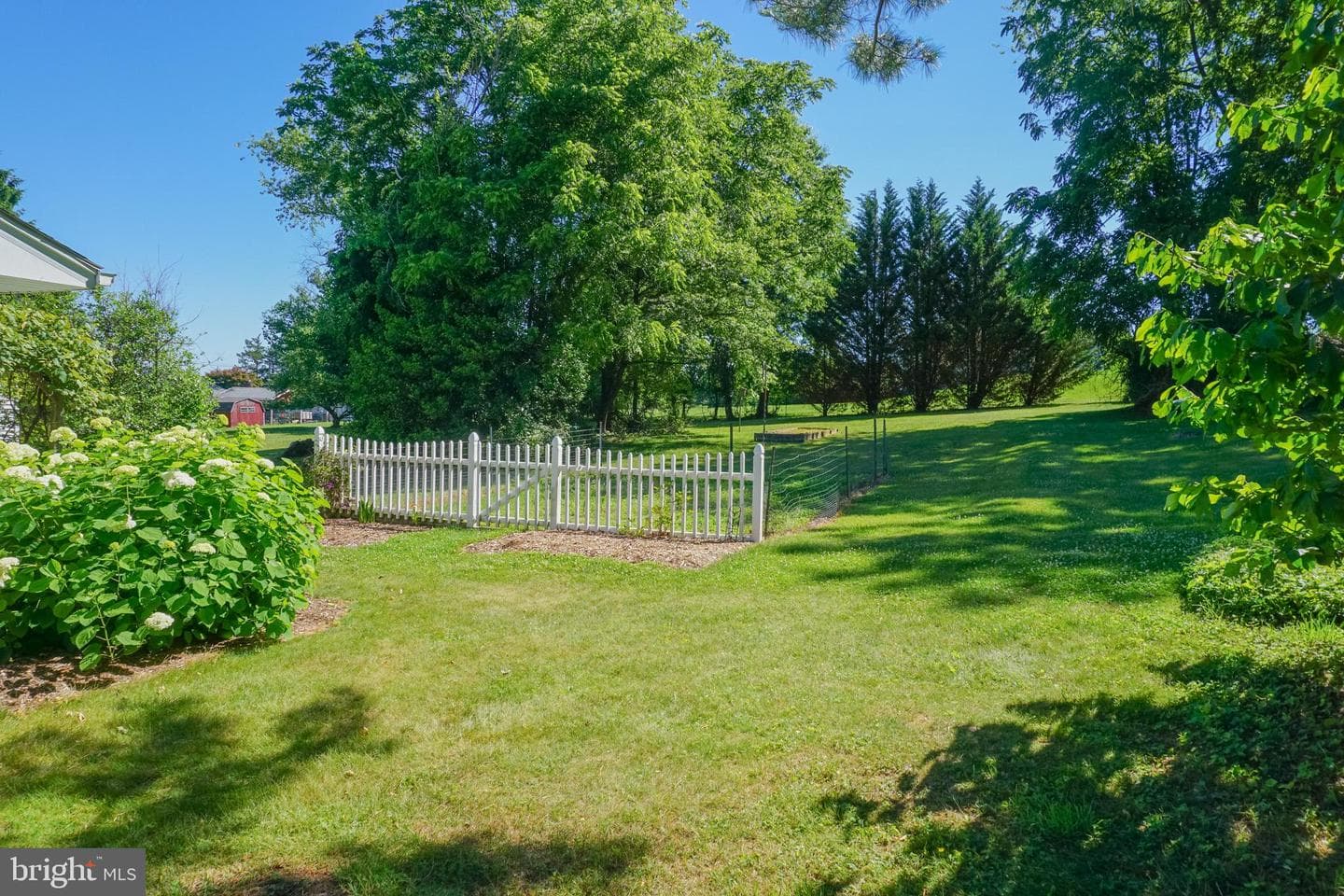 379 Hilldale Road photo 78