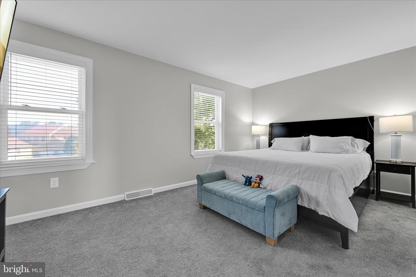 6541 Hollow Drive photo 19