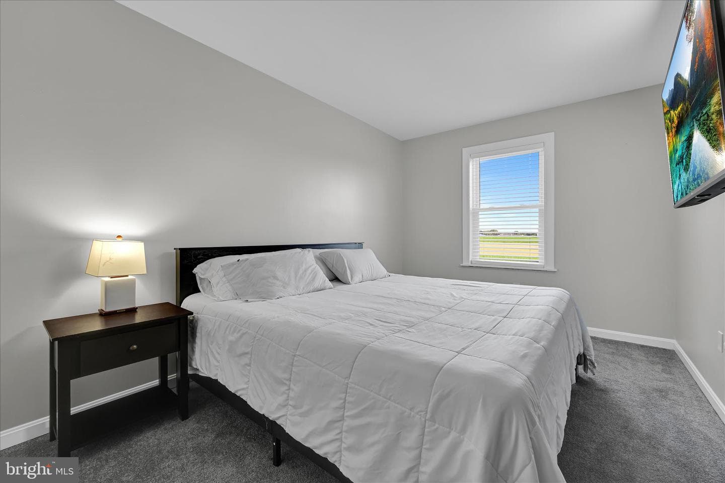6541 Hollow Drive photo 22