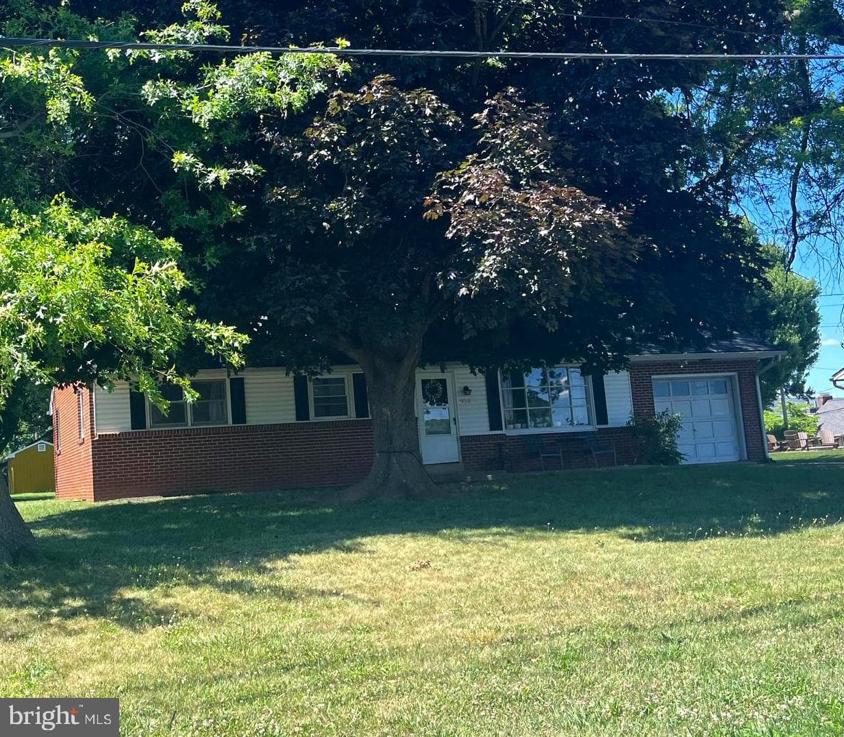 953 Ivy Drive photo 7
