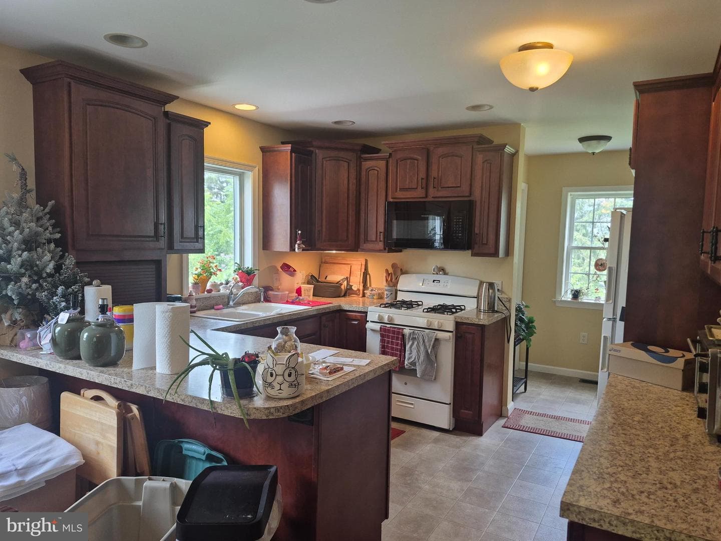 918 Chestnut Street photo 5