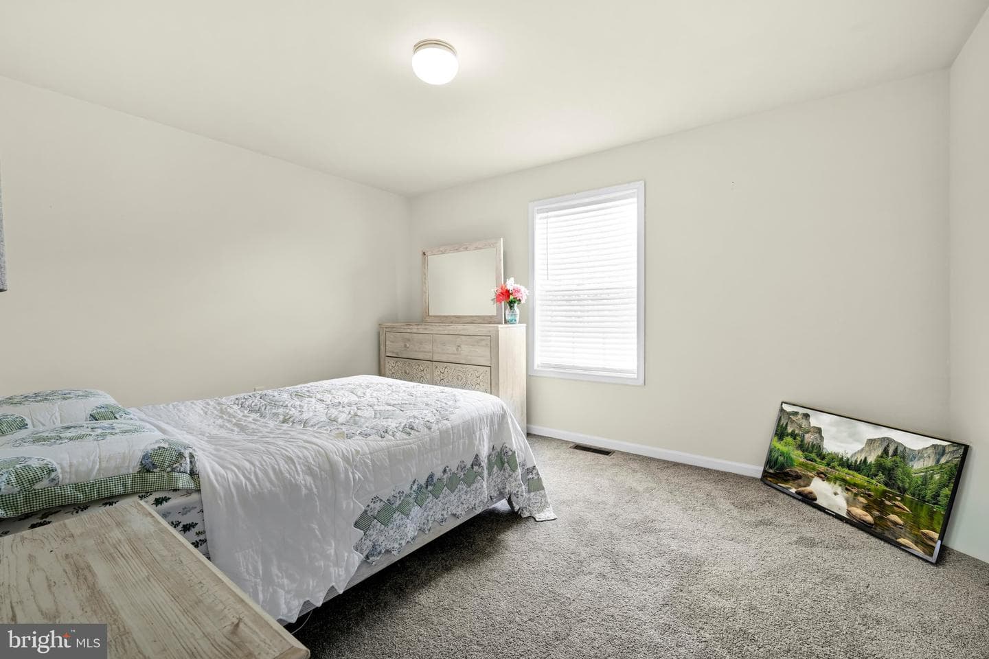 216 Darlington Court photo 19
