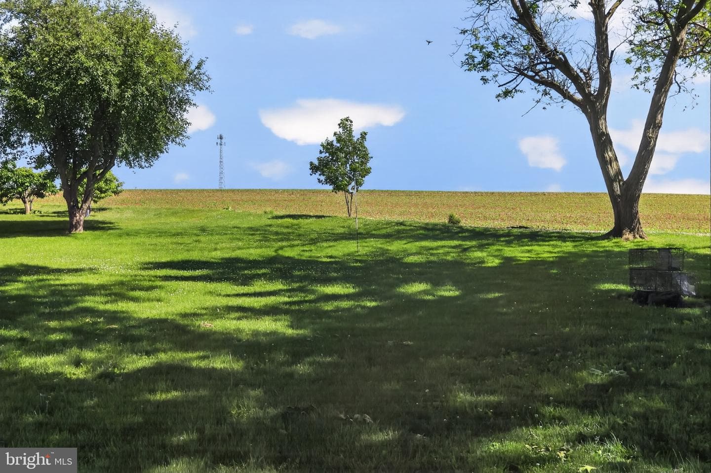1106 Village Road photo 34