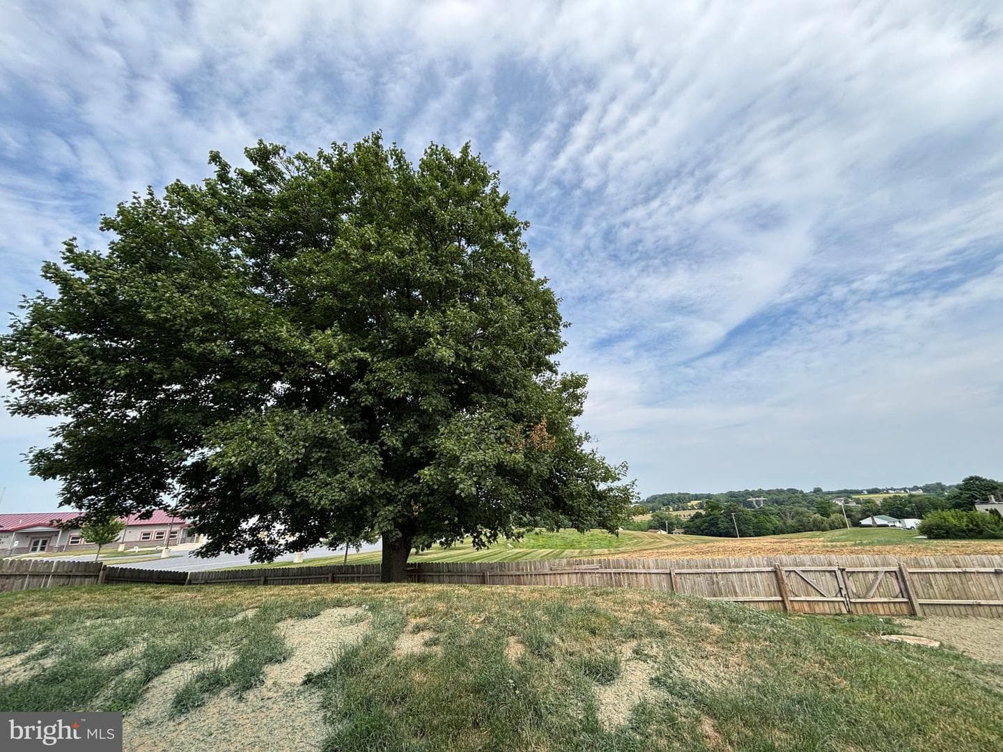 2161 Meadow View Road photo 8