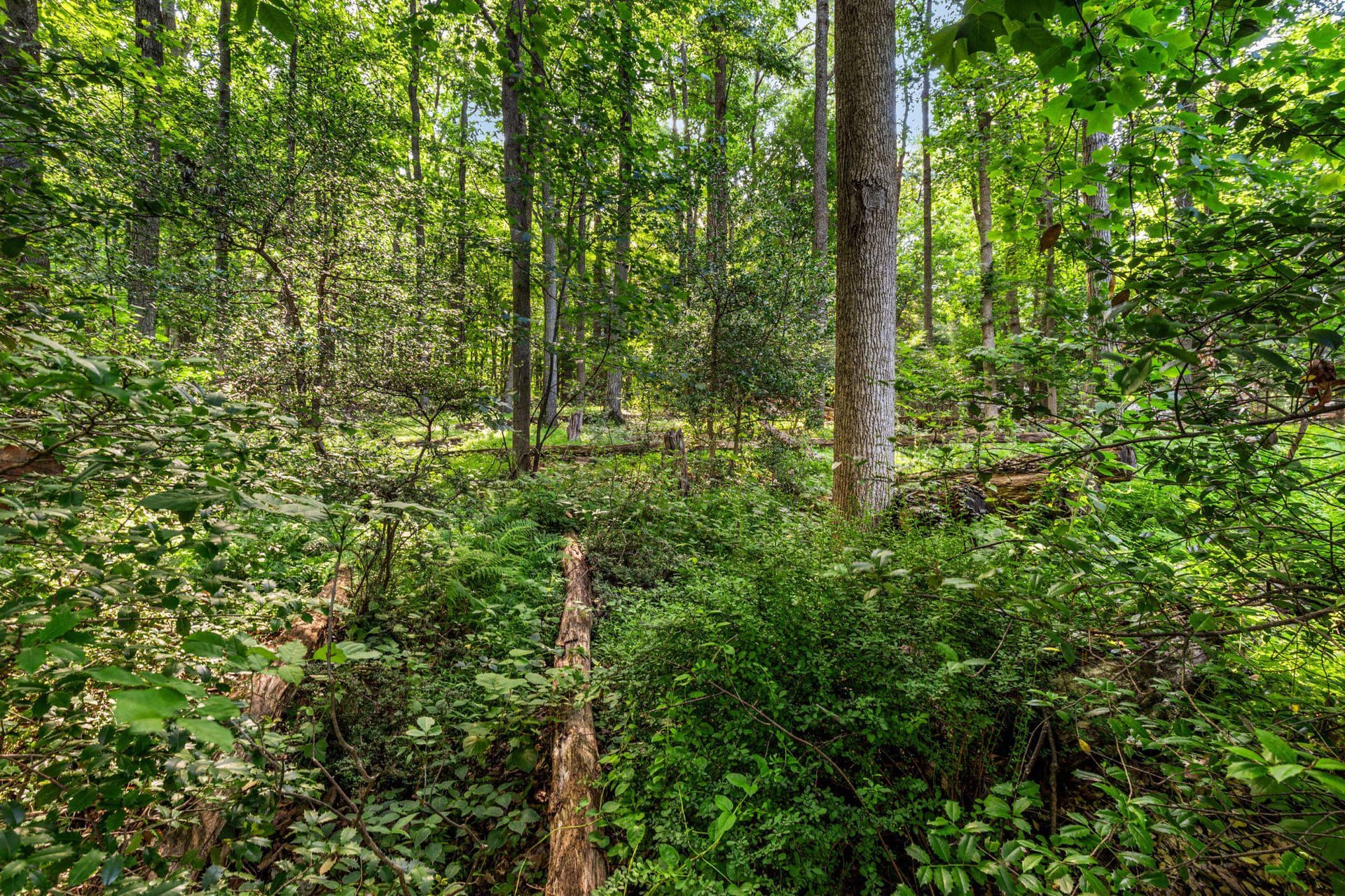 2835 Pinch Road photo 28