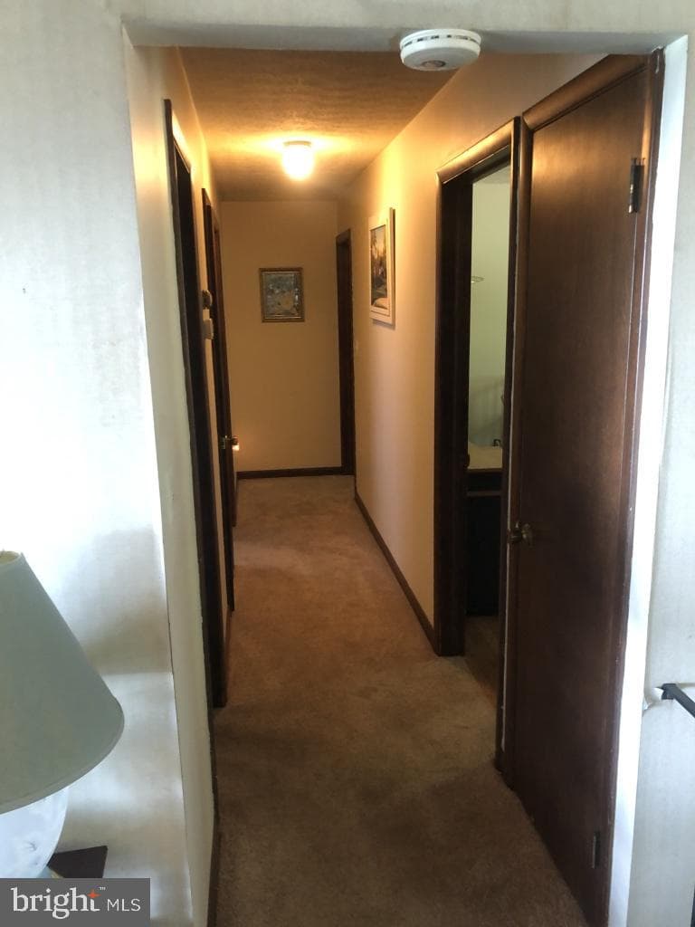 246 Brown Road photo 22
