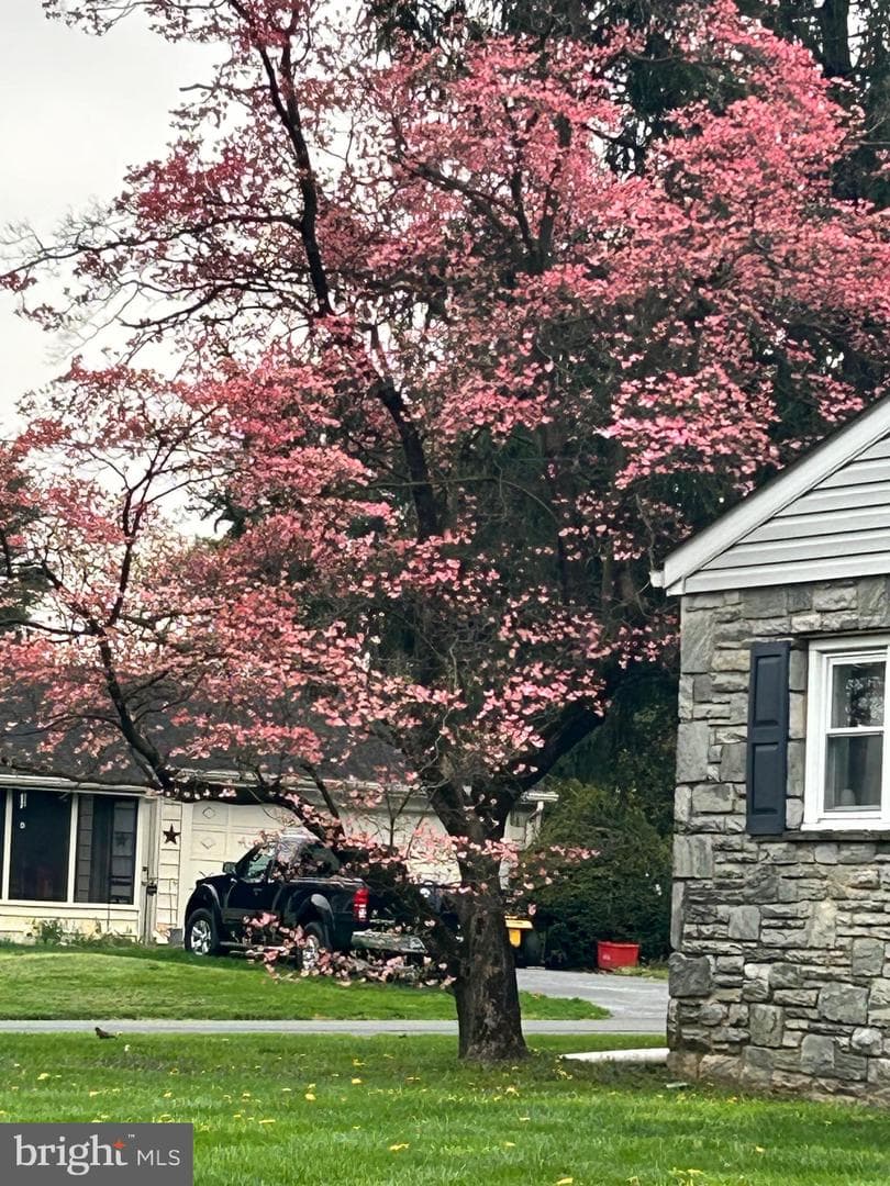 4 Pleasant Drive photo 35