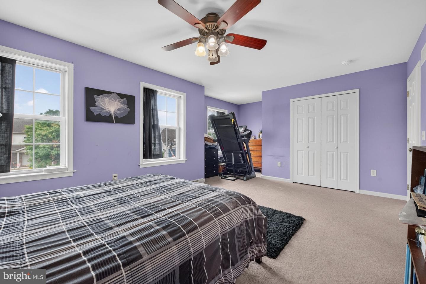 53 Perseverance Lane photo 17