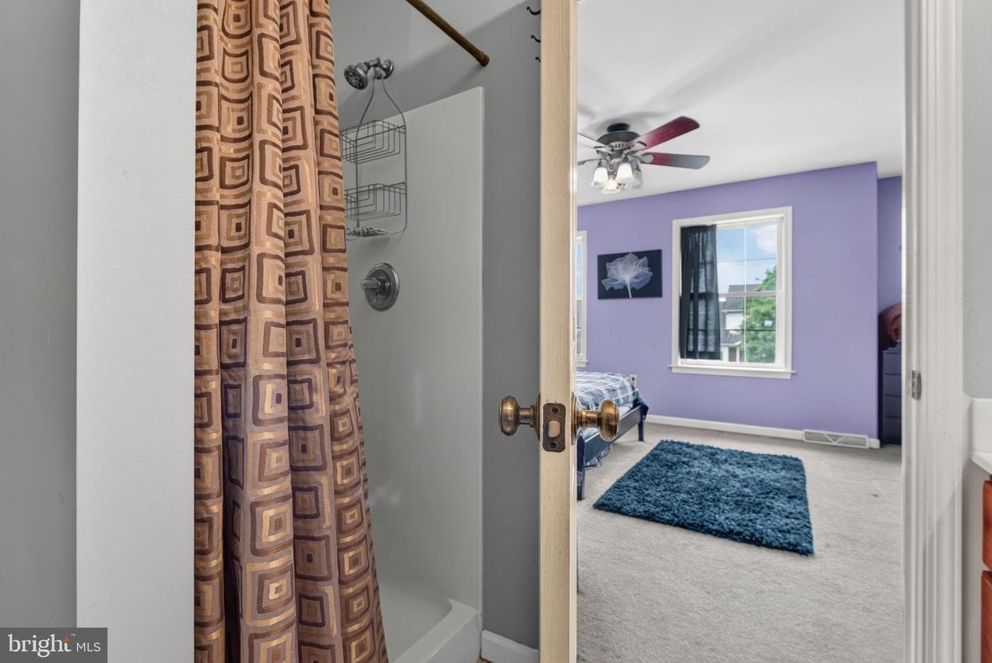53 Perseverance Lane photo 19