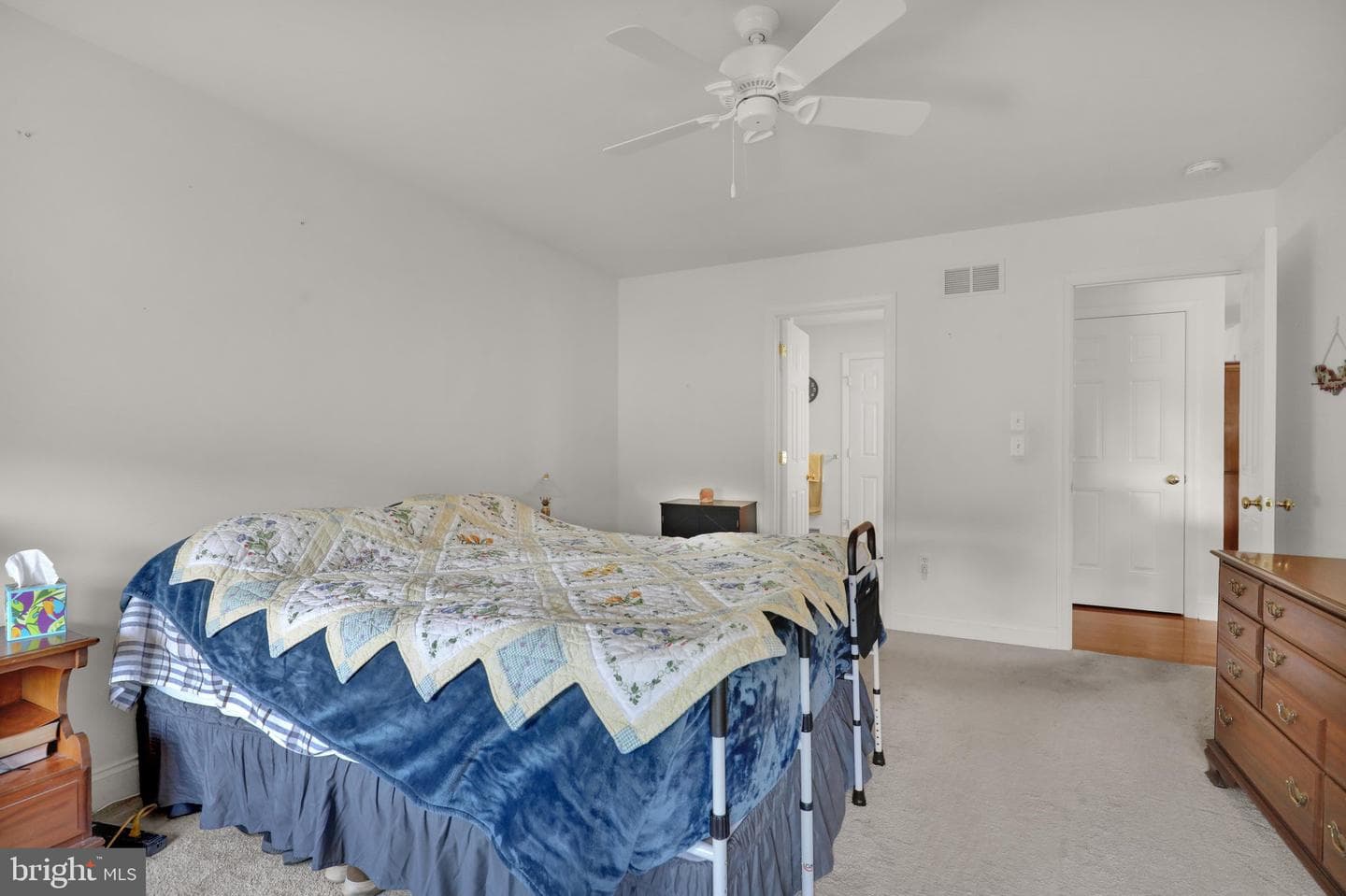 103 Goldenfield Drive photo 17